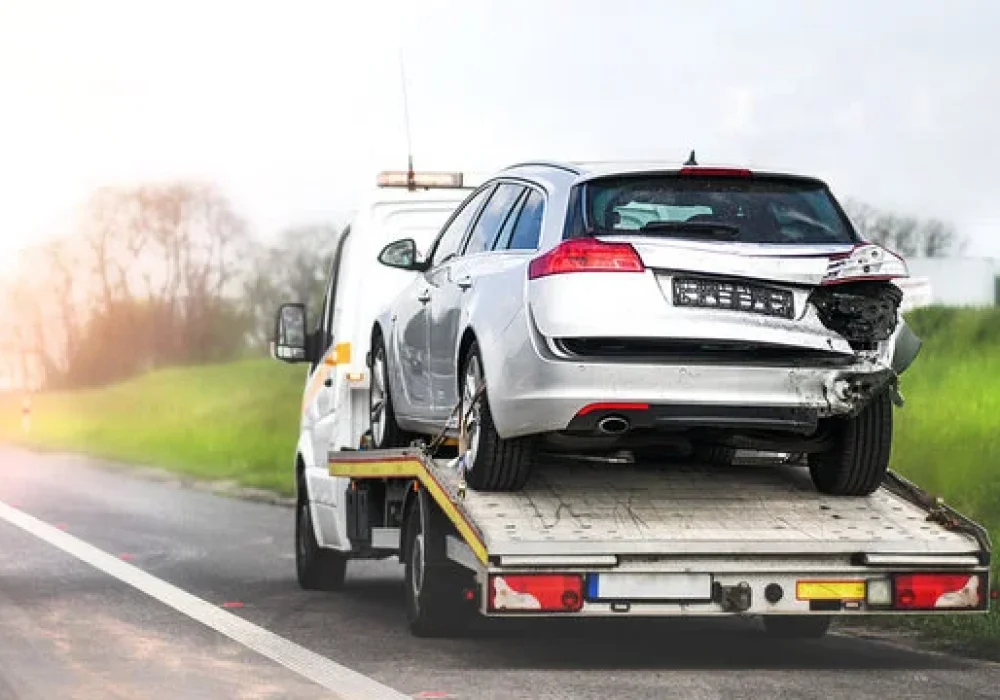 360_F_299103030_ZRrhhMs3UwU7SfrUV3iIBApc6Ldje7l3