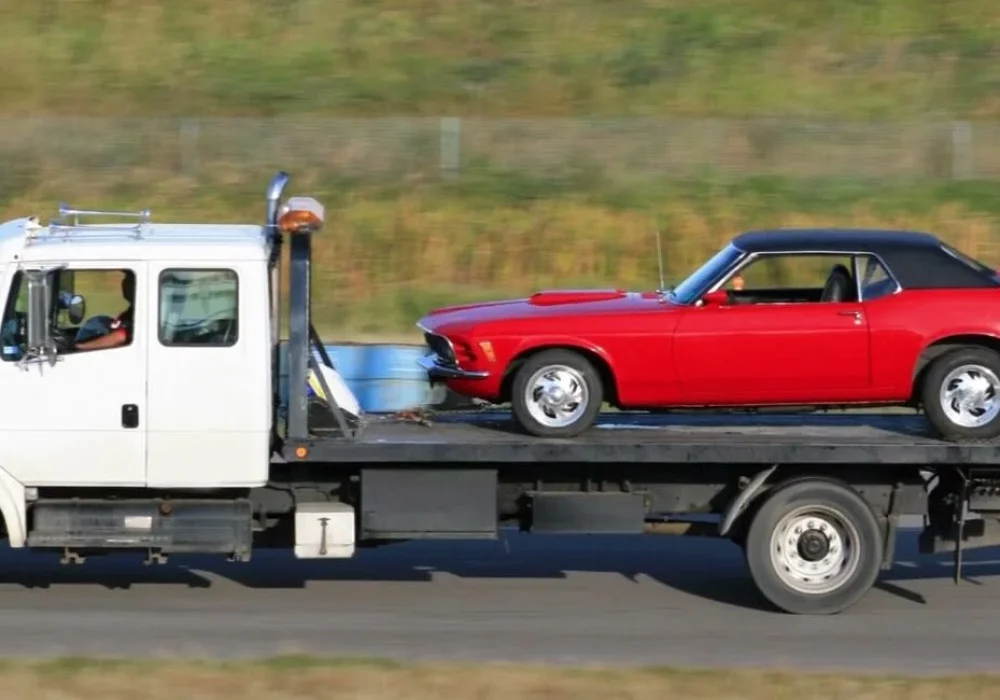 maxresdefault-2-e1736198334659 (2)